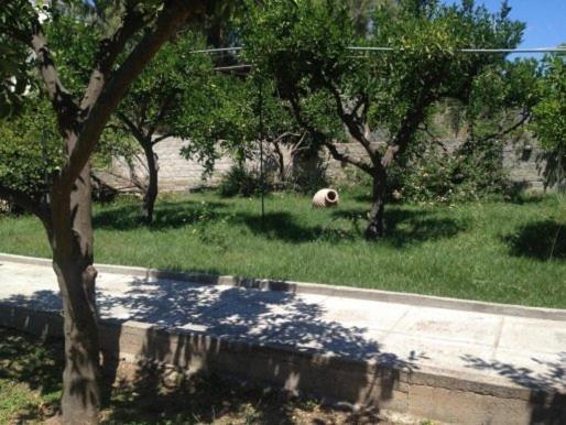 Soile Georgia-house * Loutra Edipsou (Evia)